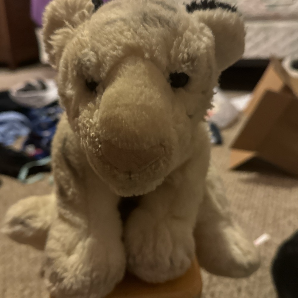 Plush